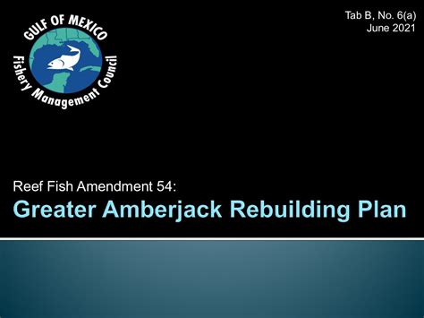 B 6a Presentation Greater Amberjack 2021 June Council Gulf Of