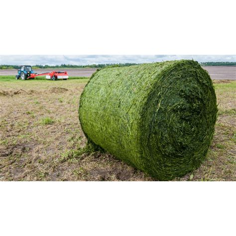 Quality Timothy Hay Quality Alfalfa Hay Timothy Hay Lucerne Clover In