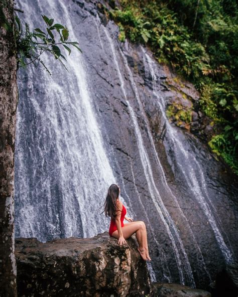 El Yunque National Forest Your 2021 Guide To This Puerto Rican Gem