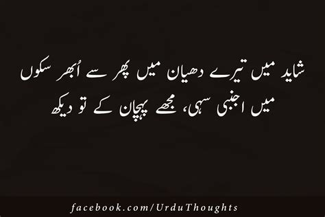 10 Images of 2 Line Urdu Sad Poetry Shayari | Urdu Thoughts