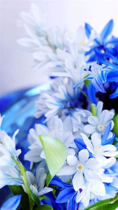 Download hd wallpapers for free on unsplash. Blue White Flowers Wallpaper iPhone - 3D iPhone Wallpaper