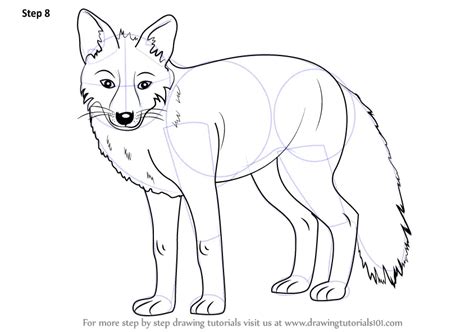 How To Draw A Fox Zoo Animals Step By Step