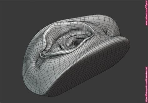 Pussy Vagina Anus Block For Any Medical Toy Animation Printing Purposes 2 3d Model In Anatomy