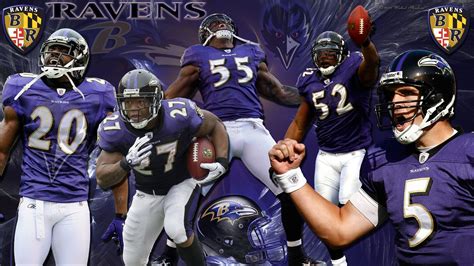 Ravens And Orioles Wallpaper 64 Images
