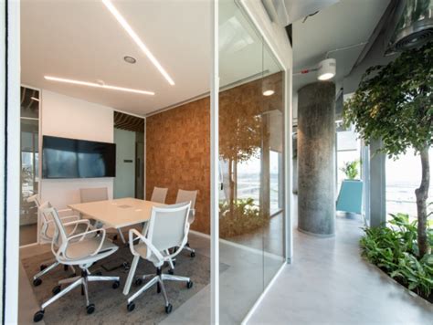 Biophilia In Office Fit Out And Design Why No Longer A Trend