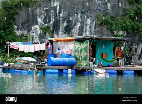Floating Houses Vung Vieng Fishing Village Ha Long Bay Bai Tu Long