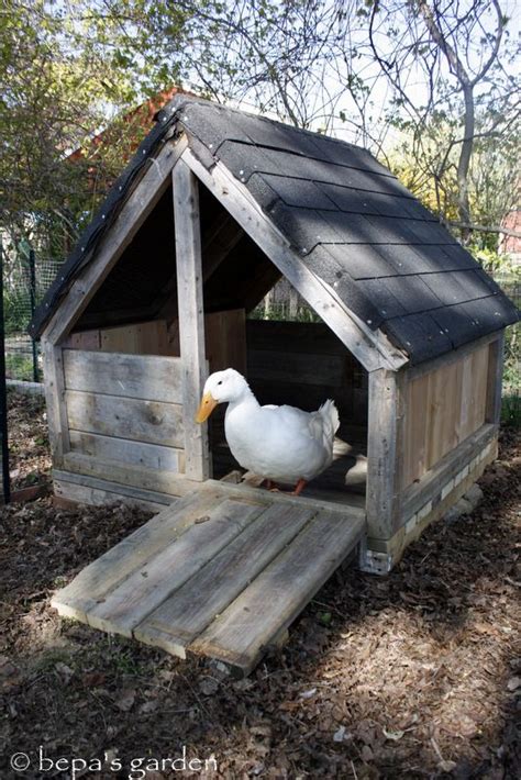 After Many Many Many Months The Duck House Is Finally Finished