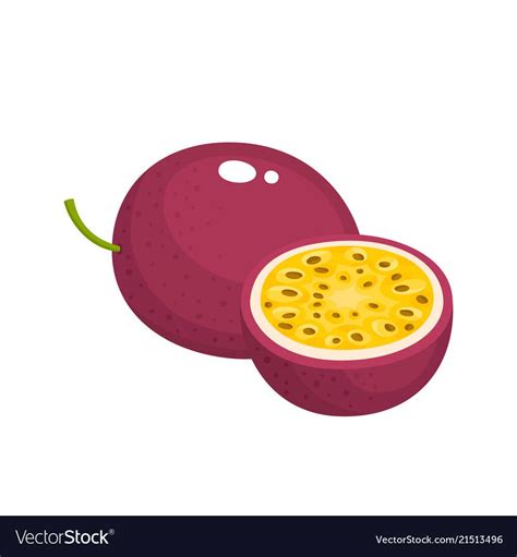 Bright Of Fresh Passion Fruit Vector Image On Vectorstock Passion Fruit Fruit Vector Fruit