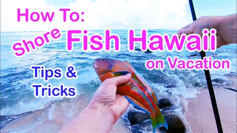 How To Fish Hawaii On Vacation Ultimate Guide For Tips And Tricks To