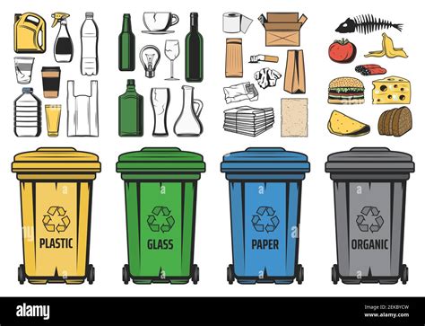 Waste Sorting For Recycling Vector Design Sorted Recycle Bins With