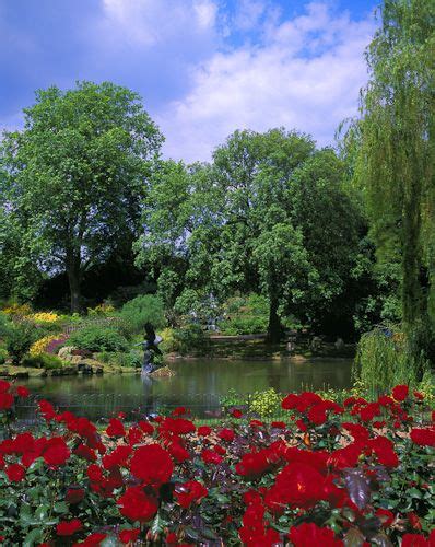 Queen Marys Rose Gardens Regents Park London Rose Garden