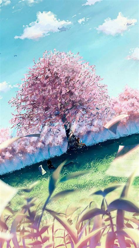 This Is Like My Favourite Wallpaper💗i Love Cherry Blossom Trees