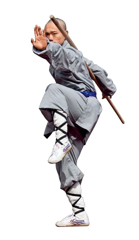 The chinese martial arts film genre dates back to the 1920s, with the development of the shanghai film industry. Shaolin Temple: The homeland of Chinese Martial Arts