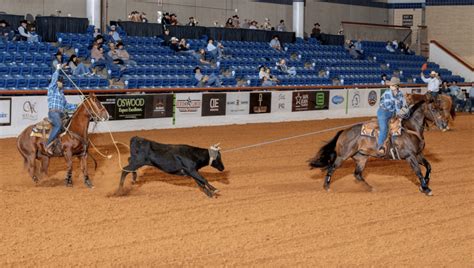 Arhfa world championship rope horse futurity 2022 results
