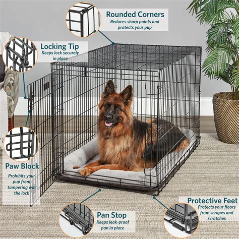 Buy Midwest Homes For Pets Single And Double Door Life Stages Dog Crate