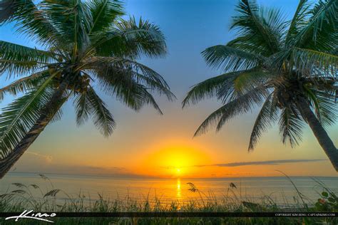 Florida Beach Sunrise Coconut Tree Palm Beach Coun By Captainkimo On