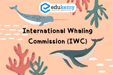 International Whaling Commission Iwc Upsc Environment