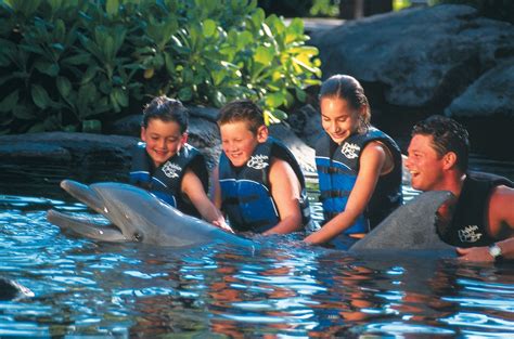 Oahu Hawaii Kahala Resort You And Your Children Can Enjoy Playing