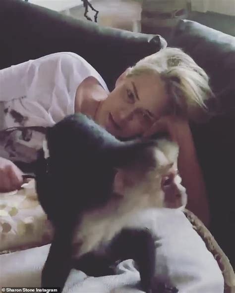 Did you know sharon stone lived in south africa for a year? Sharon Stone, 62, shares a video where she first meets her ...