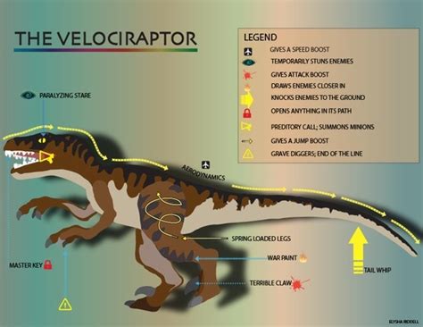 The Velociraptor Infographic Map Infographic Velociraptor