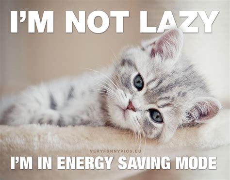 14 Funny Memes About Being Lazy Factory Memes