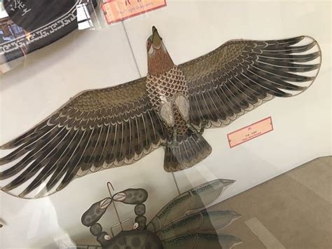 Kite Museum Weifang 2019 All You Need To Know Before You Go With