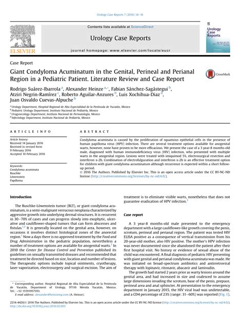 Pdf Giant Condyloma Acuminatum In The Genital Perineal And Perianal