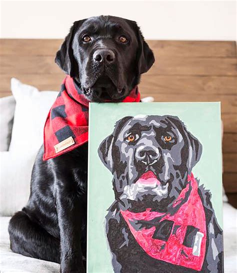 Diy Pet Portraits From Paint By Number Kits Paint Your Pet Pet
