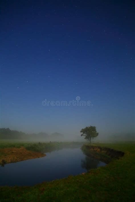 Mist In Starry Night Stock Photo Image Of Starry Darkness 127960716