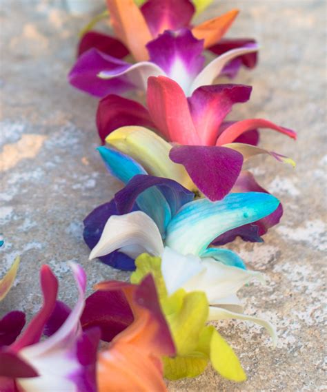 Where to buy fresh flowers in bulk near me. Rainbow Orchid Single Lei | Fresh Flower Leis - Buy ...