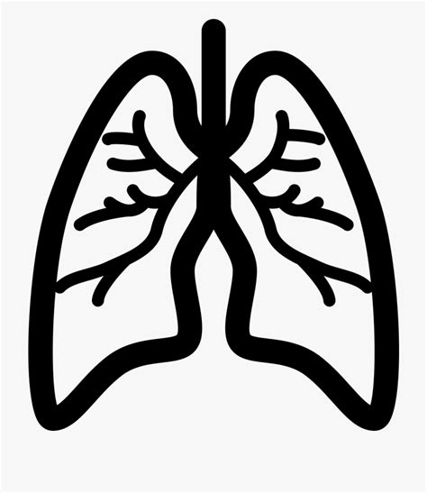 Lungs Clipart Png Clip Art Library