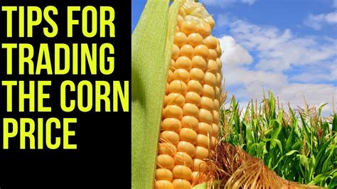 Corn Futures Trading Basics How To Trade The Corn Price 🌽 Youtube