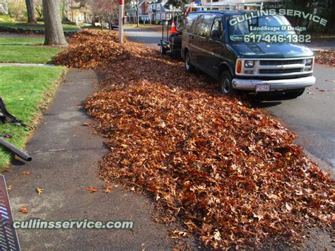 Leaf Removal Service Fall Cleanup Newton Ma Cullins Service Cullins