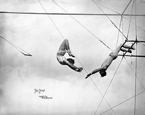 Do Not Recoil From The Unfamiliar Consider The Trapeze Artist She