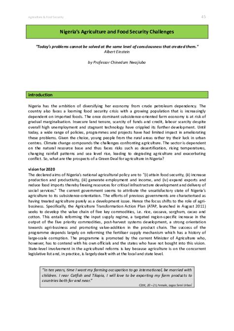 Pdf Nigerias Agriculture And Food Security Challenges Chinedum