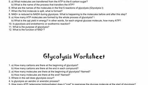 glycolysis worksheet answers