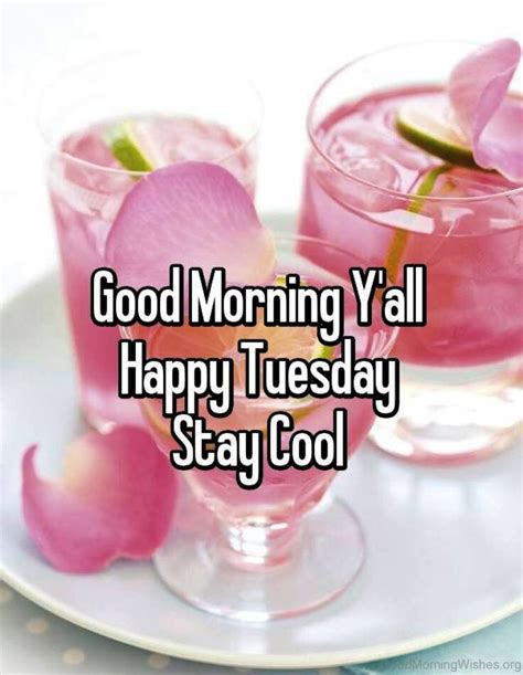 Good Morning Tuesday Happy Tuesday Images Wishes And Pictures The State