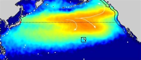Fukushima S Radioactive Ocean Plume Due To Reach Us Waters In