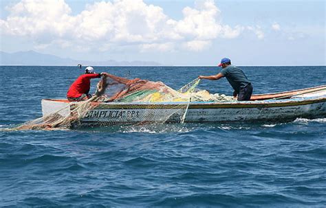 Pescadores De Quintana Roo Recibirán Motores Y Equipamiento 2000agro