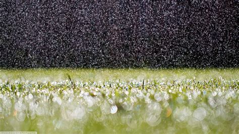 Raindrops On Grass Grass Nature Rain Drops Hd Wallpaper Peakpx