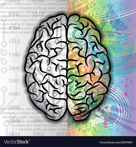 Human Brain Color Pattern Royalty Free Vector Image