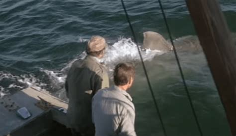 Jaws 1975 Youre Gonna Need A Bigger Boat Scene 410 Movieclips 1 17 Screenshot