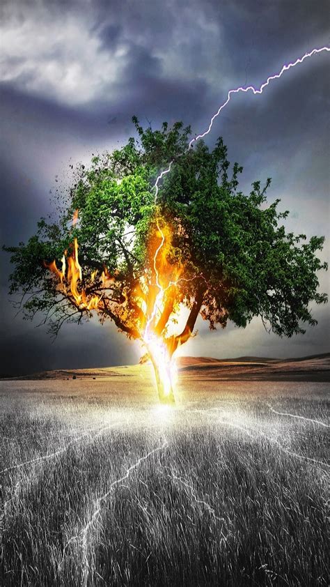 Lonely Tree Wallpaper - 1080x1920