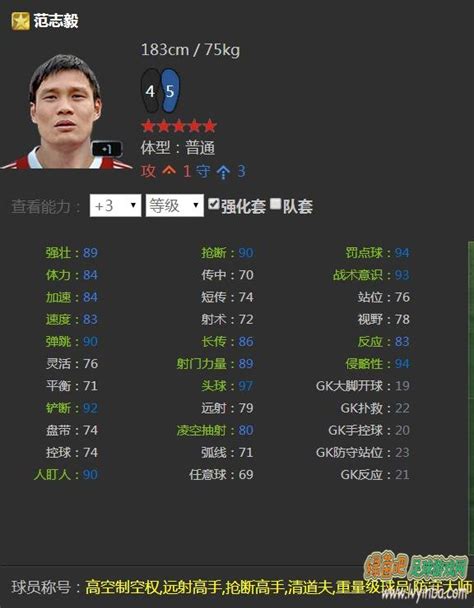 FIFA Online 国服各位置TOP 的球员推荐之中后卫CB 绿茵吧 最好的足球游戏网站