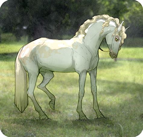 A White Horse Standing On Top Of A Lush Green Field