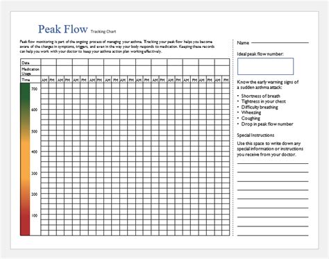 Measuring your peak flow can tell you and your health care provider how well you blow air out of your lungs. Asthma Peak Flow Charts PDF | MS Word | Printable Medical ...