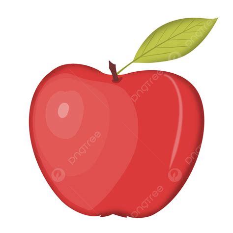 Apple Fruit Illustration Apple Apple Illustration Fruit Png