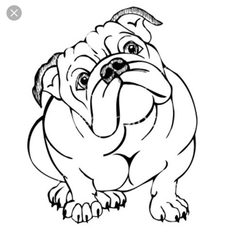 Cute English Bulldog Coloring Pages Coloring Pages