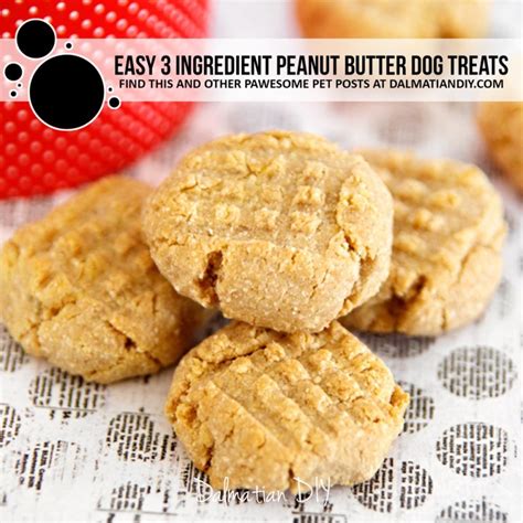 Easy Three Ingredient Peanut Butter Dog Treats Dalmatian Diy