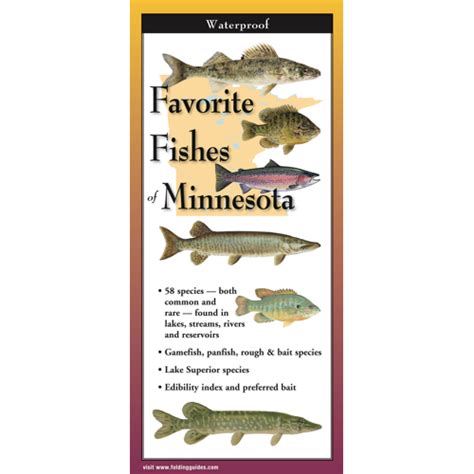 Favorite Fishes Of Minnesota Earth Sky Water